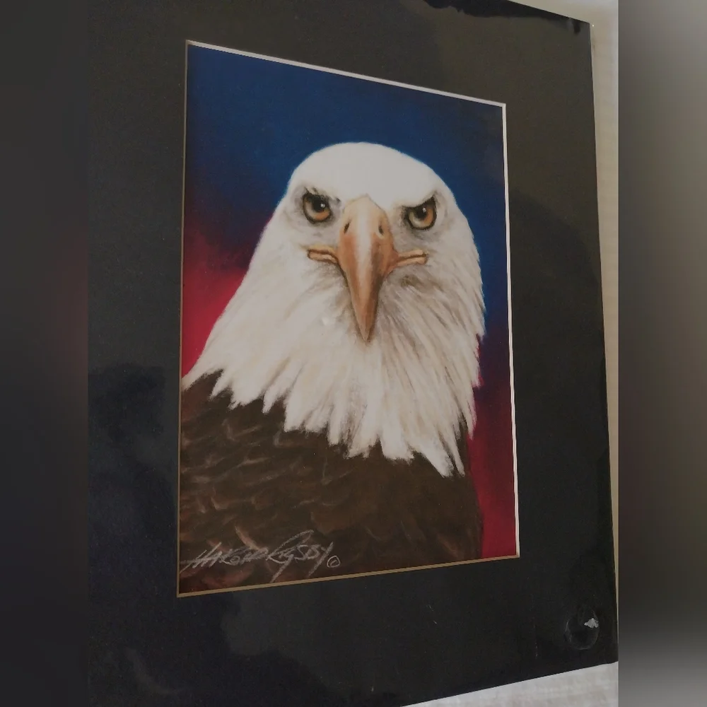 Bald Eagle print - Picture 3 of 15